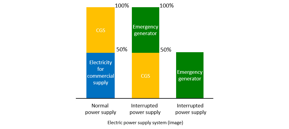 Electric power supply system (image)