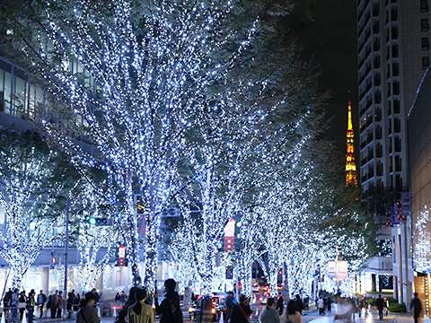 Christmas Illumination at Roppongi Keyakisaka Street