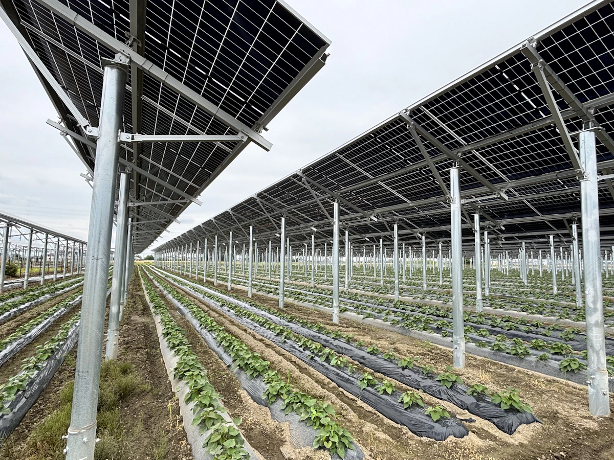 栃木市宮町営農型太陽光発電所
