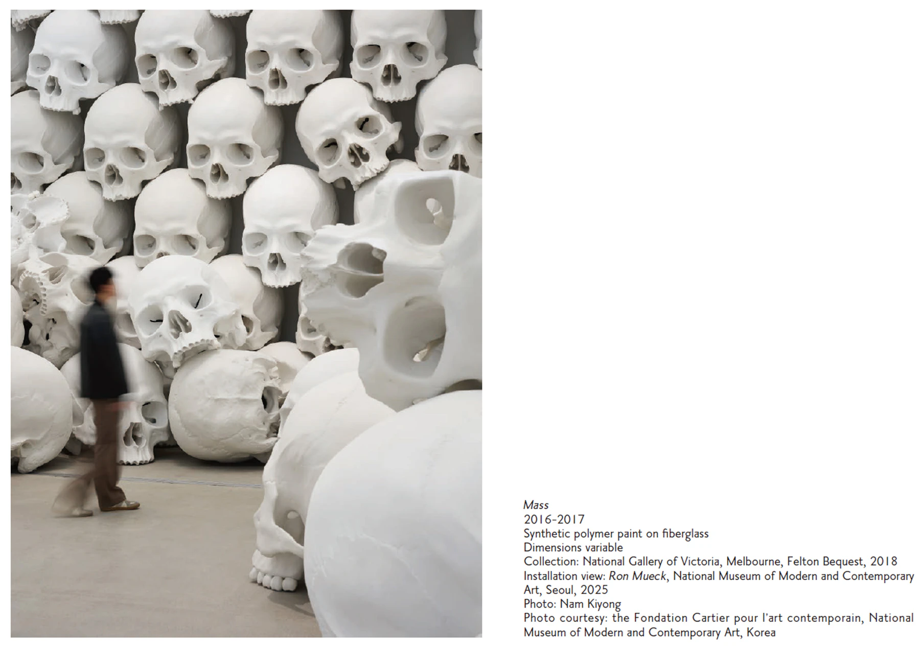 ロン・ミュエック展 図録 Ron Mueck Fondation Cartier ロン・ミュエック展 図録 Ron Mueck Fondation Cartier ロン