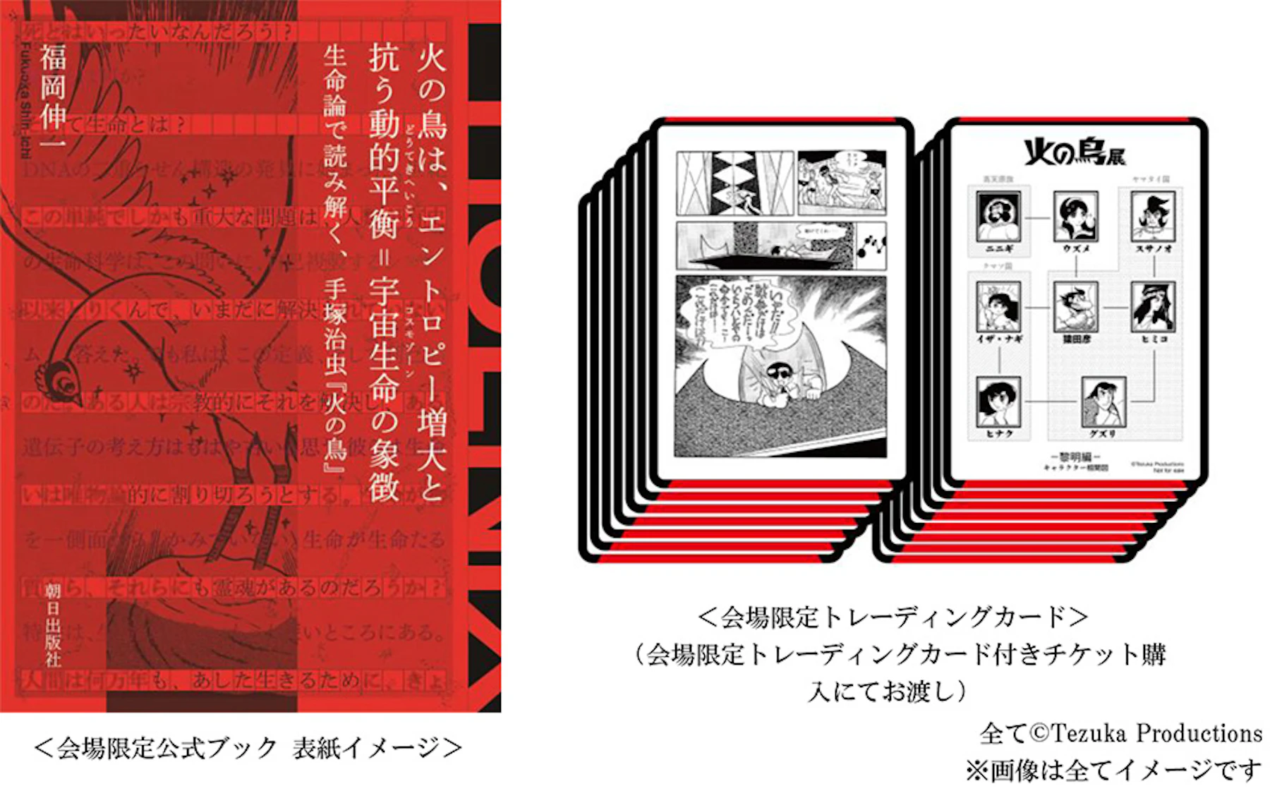 250115_1___fm_webp___width_180