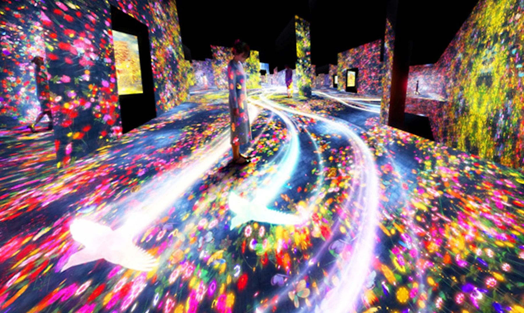 MORI Building DIGITAL ART MUSEUM: teamLab Borderless 2018年夏 お