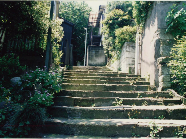 History of the Development