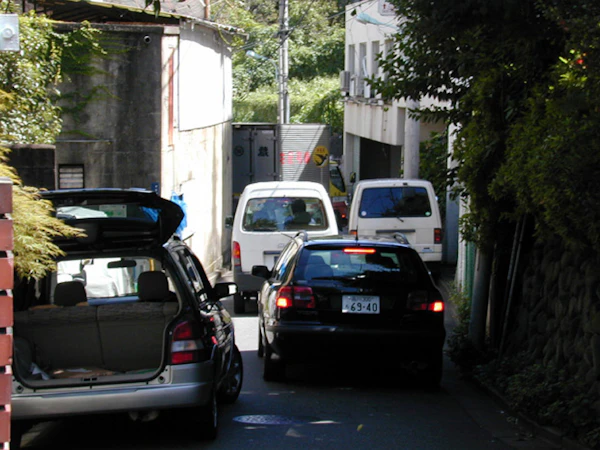 History of the Development