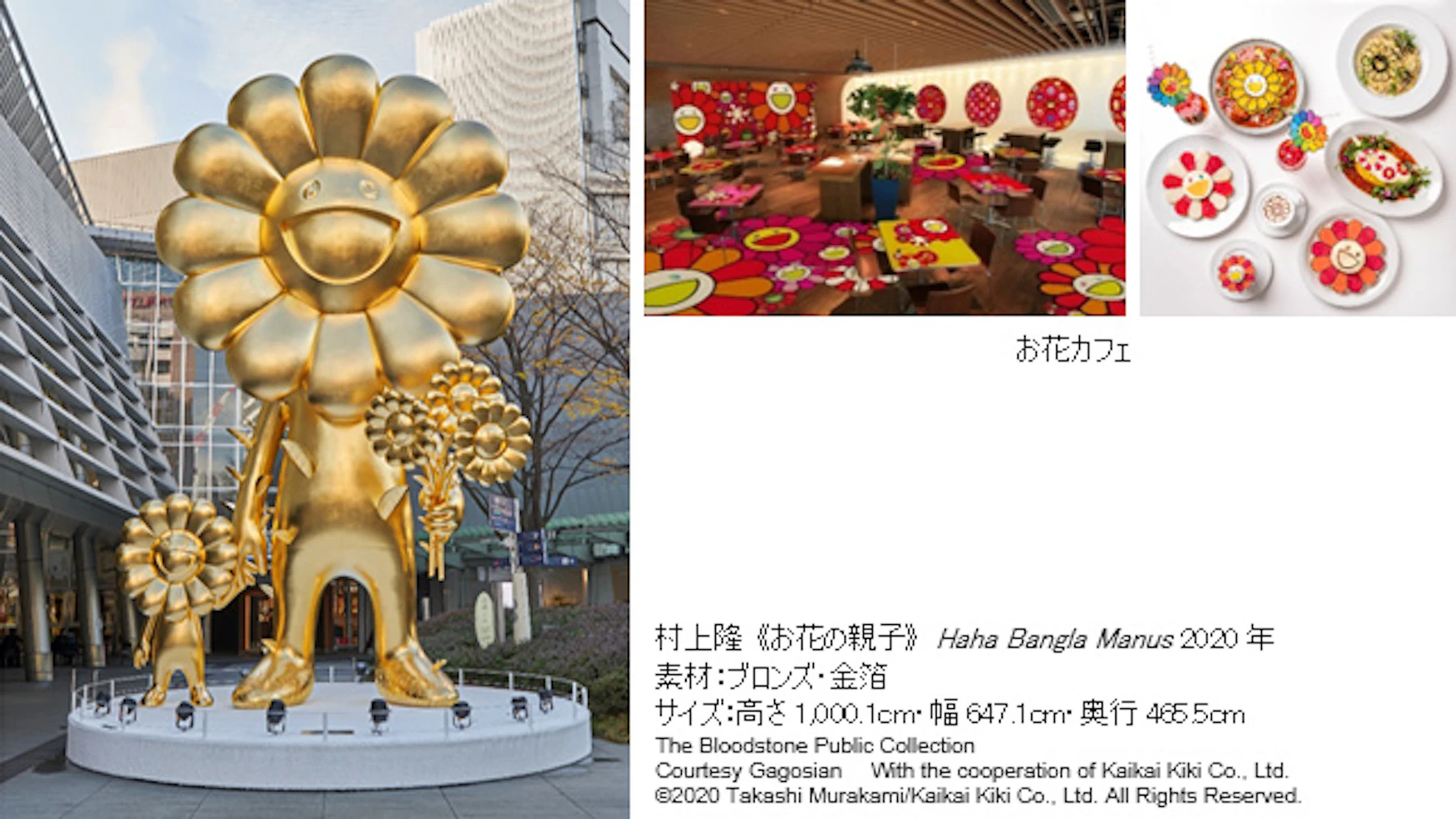 201126_1___fm_webp___width_180