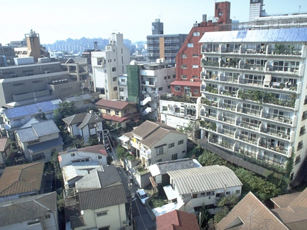 History of the Development