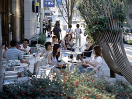 080404_2.jpg