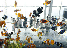 kimura0807_1.jpg
