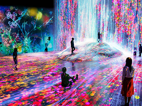 teamLab Borderless: MORI Building DIGITAL ART MUSEUM