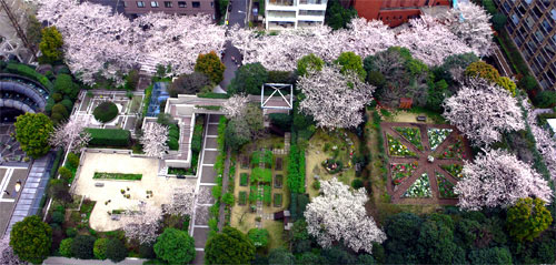 2007051115024923775.jpg