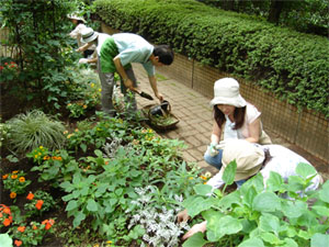 2008041616122632265.jpg