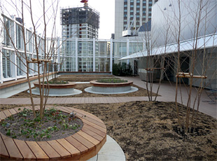 en090223_5.jpg