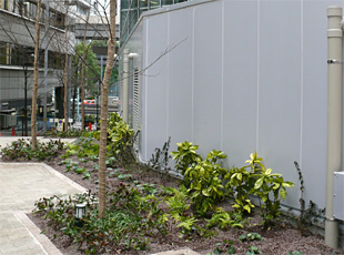 en090223_6.jpg