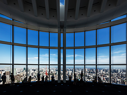 Tokyo City View