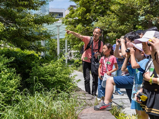 Bird watching at Toranomon Hills