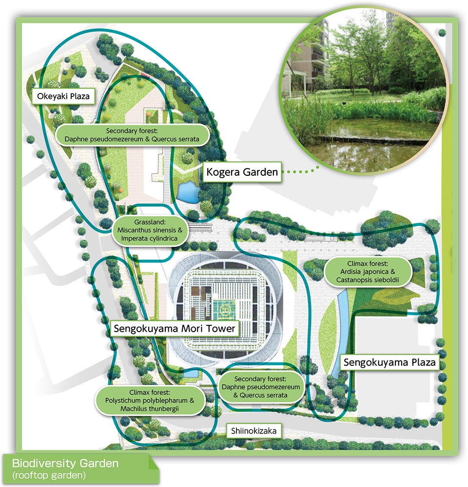 Planting plan based on Potential Natural Vegetation Map of Tokyo Metropolitan Government