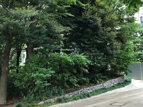 Multilevel greenery with a high volume of the green coverage