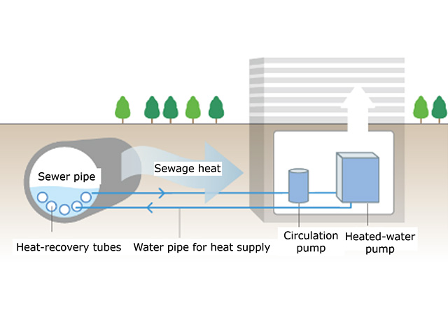 Sewage-heat recovery system