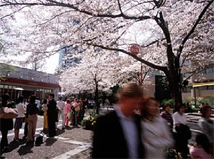 090319_2.jpg