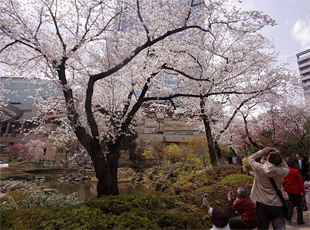 090319_4.jpg