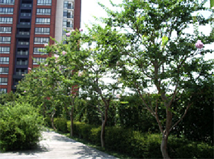 100625_5.jpg