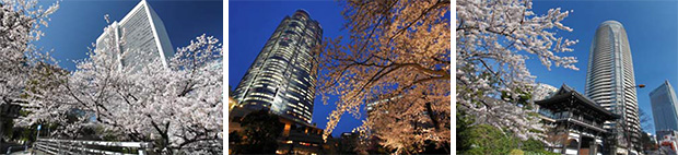 150320_1.jpg