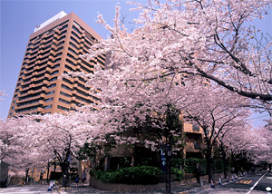 2008031810081517889.jpg