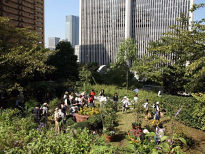 2008040114134910086.jpg