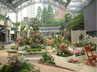 全景