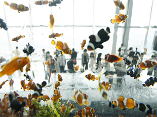080925_1.jpg