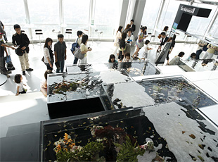 080925_2.jpg
