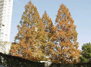 081021_4.jpg