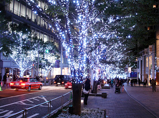081106_1_1.jpg