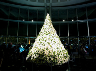 081126_2.jpg