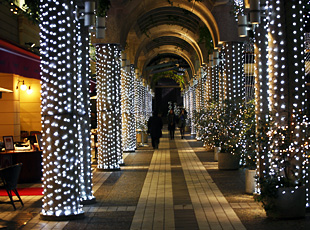 081204_3.jpg