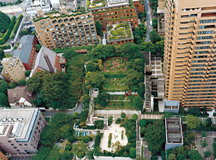 090414_1.jpg
