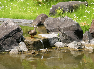 090501_2.jpg