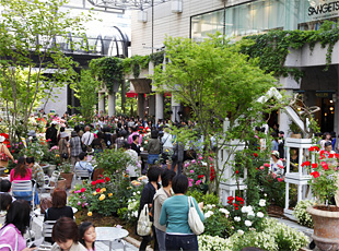 090518_4.jpg