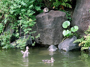 090525_3.jpg