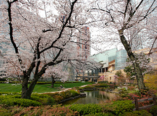 110407_1.jpg