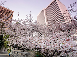 110407_2.jpg