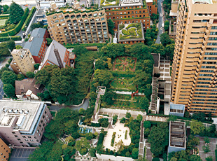 110414_1.jpg