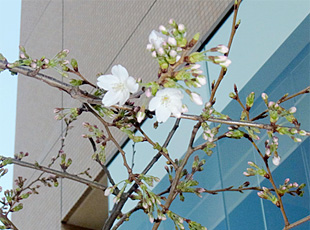 120329_1.jpg