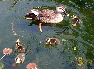 120510_1.jpg