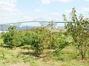 121010_4.jpg