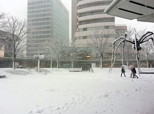 130116_1.jpg
