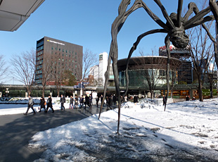 130116_4.jpg