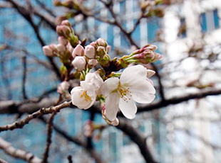 130315_1.jpg