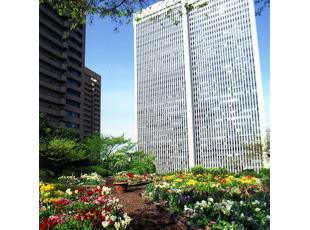 130507_1.jpg