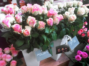 130507_3.jpg